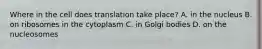 Where in the cell does translation take place? A. in the nucleus B. on ribosomes in the cytoplasm C. in Golgi bodies D. on the nucleosomes