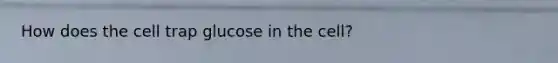 How does the cell trap glucose in the cell?