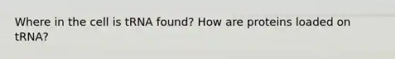 Where in the cell is tRNA found? How are proteins loaded on tRNA?