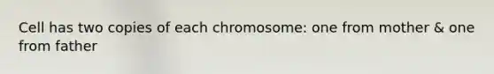 Cell has two copies of each chromosome: one from mother & one from father