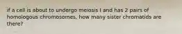 if a cell is about to undergo meiosis I and has 2 pairs of homologous chromosomes, how many sister chromatids are there?