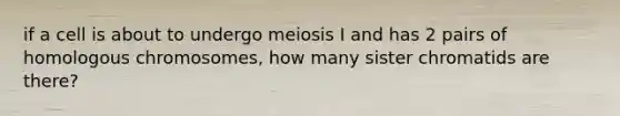 if a cell is about to undergo meiosis I and has 2 pairs of homologous chromosomes, how many sister chromatids are there?