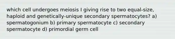 which cell undergoes meiosis I giving rise to two equal-size, haploid and genetically-unique secondary spermatocytes? a) spermatogonium b) primary spermatocyte c) secondary spermatocyte d) primordial germ cell