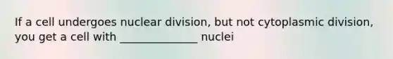 If a cell undergoes nuclear division, but not cytoplasmic division, you get a cell with ______________ nuclei