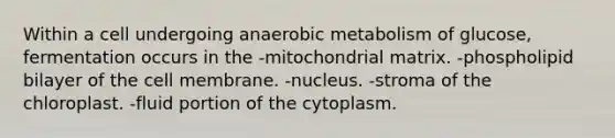 Within a cell undergoing anaerobic metabolism of glucose, fermentation occurs in the -mitochondrial matrix. -phospholipid bilayer of the cell membrane. -nucleus. -stroma of the chloroplast. -fluid portion of the cytoplasm.