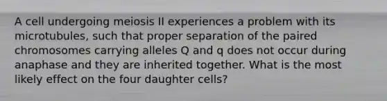 A cell undergoing meiosis II experiences a problem with its microtubules, such that proper separation of the paired chromosomes carrying alleles Q and q does not occur during anaphase and they are inherited together. What is the most likely effect on the four daughter cells?