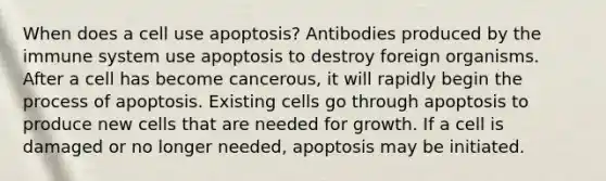 When does a cell use apoptosis? Antibodies produced by the immune system use apoptosis to destroy foreign organisms. After a cell has become cancerous, it will rapidly begin the process of apoptosis. Existing cells go through apoptosis to produce new cells that are needed for growth. If a cell is damaged or no longer needed, apoptosis may be initiated.