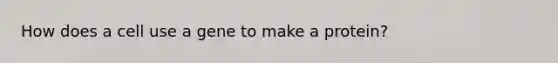 How does a cell use a gene to make a protein?