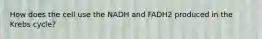 How does the cell use the NADH and FADH2 produced in the Krebs cycle?