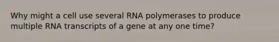 Why might a cell use several RNA polymerases to produce multiple RNA transcripts of a gene at any one time?