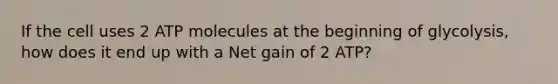 If the cell uses 2 ATP molecules at the beginning of glycolysis, how does it end up with a Net gain of 2 ATP?