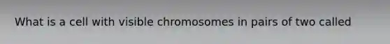 What is a cell with visible chromosomes in pairs of two called