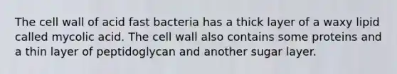 The cell wall of acid fast bacteria has a thick layer of a waxy lipid called mycolic acid. The cell wall also contains some proteins and a thin layer of peptidoglycan and another sugar layer.