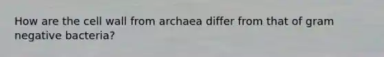 How are the cell wall from archaea differ from that of gram negative bacteria?