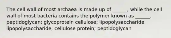 The cell wall of most archaea is made up of ______, while the cell wall of most bacteria contains the polymer known as ______. peptidoglycan; glycoprotein cellulose; lipopolysaccharide lipopolysaccharide; cellulose protein; peptidoglycan