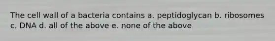 The cell wall of a bacteria contains a. peptidoglycan b. ribosomes c. DNA d. all of the above e. none of the above