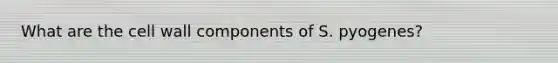 What are the cell wall components of S. pyogenes?