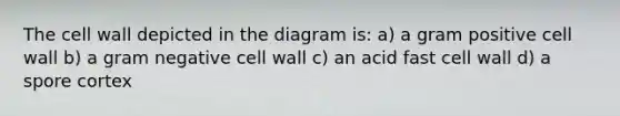 The cell wall depicted in the diagram is: a) a gram positive cell wall b) a gram negative cell wall c) an acid fast cell wall d) a spore cortex