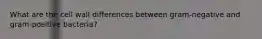 What are the cell wall differences between gram-negative and gram-positive bacteria?