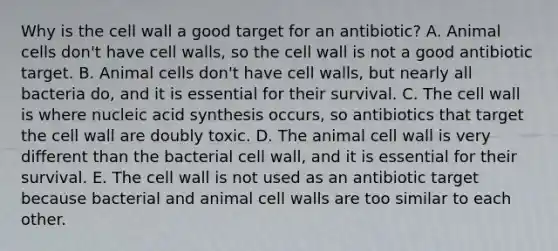 Why is the cell wall a good target for an antibiotic? A. Animal cells don't have cell walls, so the cell wall is not a good antibiotic target. B. Animal cells don't have cell walls, but nearly all bacteria do, and it is essential for their survival. C. The cell wall is where nucleic acid synthesis occurs, so antibiotics that target the cell wall are doubly toxic. D. The animal cell wall is very different than the bacterial cell wall, and it is essential for their survival. E. The cell wall is not used as an antibiotic target because bacterial and animal cell walls are too similar to each other.