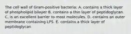 The cell wall of Gram-positive bacteria: A. contains a thick layer of phospholipid bilayer B. contains a thin layer of peptidoglycan. C. is an excellent barrier to most molecules. D. contains an outer membrane containing LPS. E. contains a thick layer of peptidoglycan