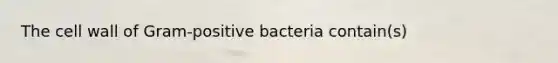 The cell wall of Gram-positive bacteria contain(s)