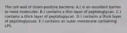 The cell wall of Gram-positive bacteria: A.) is an excellent barrier to most molecules. B.) contains a thin layer of peptidoglycan. C.) contains a thick layer of peptidoglycan. D.) contains a thick layer of peptidoglycose. E.) contains an outer membrane containing LPS.