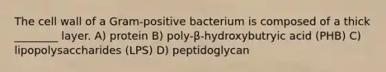 The cell wall of a Gram-positive bacterium is composed of a thick ________ layer. A) protein B) poly-β-hydroxybutryic acid (PHB) C) lipopolysaccharides (LPS) D) peptidoglycan