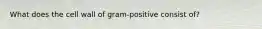 What does the cell wall of gram-positive consist of?