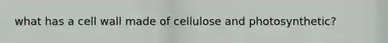 what has a cell wall made of cellulose and photosynthetic?