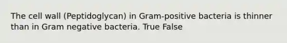 The cell wall (Peptidoglycan) in Gram-positive bacteria is thinner than in Gram negative bacteria. True False