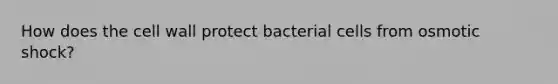 How does the cell wall protect bacterial cells from osmotic shock?