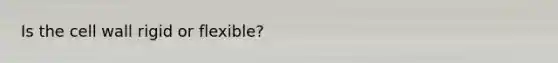 Is the cell wall rigid or flexible?