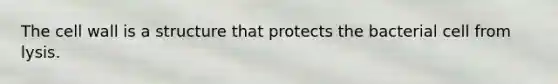 The cell wall is a structure that protects the bacterial cell from lysis.