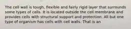 The cell wall is tough, flexible and fairly rigid layer that surrounds some types of cells. It is located outside the cell membrane and provides cells with structural support and protection. All but one type of organism has cells with cell walls. That is an