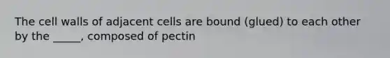 The cell walls of adjacent cells are bound (glued) to each other by the _____, composed of pectin