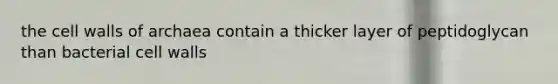 the cell walls of archaea contain a thicker layer of peptidoglycan than bacterial cell walls