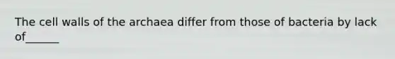The cell walls of the archaea differ from those of bacteria by lack of______