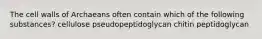 The cell walls of Archaeans often contain which of the following substances? cellulose pseudopeptidoglycan chitin peptidoglycan