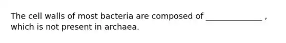 The cell walls of most bacteria are composed of ______________ , which is not present in archaea.