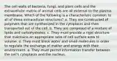 The cell walls of bacteria, fungi, and plant cells and the extracellular matrix of animal cells are all external to the plasma membrane. Which of the following is a characteristic common to all of these extracellular structures? a. They are constructed of polymers that are synthesized in the cytoplasm and then transported out of the cell. b. They are composed of a mixture of lipids and carbohydrates. c. They must provide a rigid structure that maintains an appropriate ratio of cell surface area to volume. d. They must block water and small molecules in order to regulate the exchange of matter and energy with their environment. e. They must permit information transfer between the cell's cytoplasm and the nucleus.