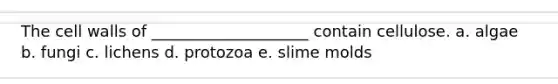 The cell walls of ____________________ contain cellulose. a. algae b. fungi c. lichens d. protozoa e. slime molds