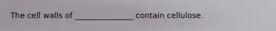 The cell walls of _______________ contain cellulose.