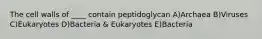 The cell walls of ____ contain peptidoglycan A)Archaea B)Viruses C)Eukaryotes D)Bacteria & Eukaryotes E)Bacteria