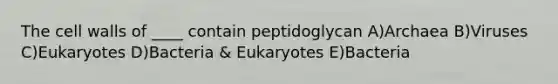 The cell walls of ____ contain peptidoglycan A)Archaea B)Viruses C)Eukaryotes D)Bacteria & Eukaryotes E)Bacteria