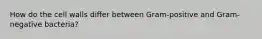 How do the cell walls differ between Gram-positive and Gram-negative bacteria?