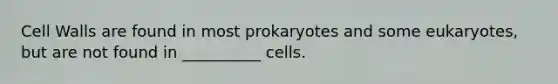 Cell Walls are found in most prokaryotes and some eukaryotes, but are not found in __________ cells.