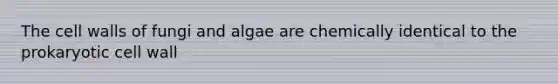 The cell walls of fungi and algae are chemically identical to the prokaryotic cell wall