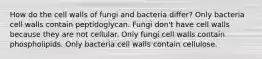 How do the cell walls of fungi and bacteria differ? Only bacteria cell walls contain peptidoglycan. Fungi don't have cell walls because they are not cellular. Only fungi cell walls contain phospholipids. Only bacteria cell walls contain cellulose.