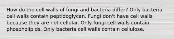 How do the cell walls of fungi and bacteria differ? Only bacteria cell walls contain peptidoglycan. Fungi don't have cell walls because they are not cellular. Only fungi cell walls contain phospholipids. Only bacteria cell walls contain cellulose.